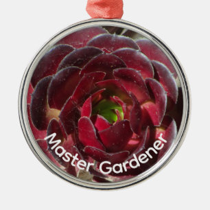 Wüsten-Sukkulenten-Foto Master Gardener Weihnachte Ornament Aus Metall