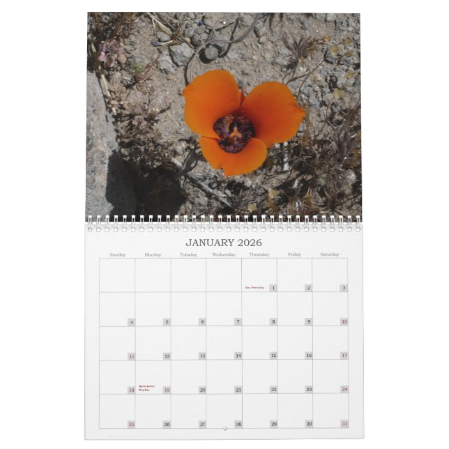 Wüsten-Wildblumen Calander Kalender (Jan 2026)
