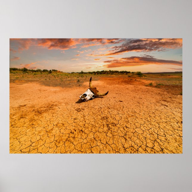 Wüsten | Wüste mit Kuhschädel Poster (Vorne)