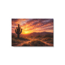 Wüsten-Zwielicht: Der majestätische Saguaro