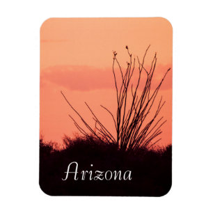 Wüstenabende in Arizona Magnet
