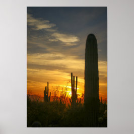 Wüstenabende Poster