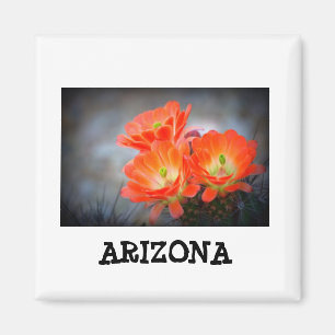 Wüstenablaze Arizona Magnet