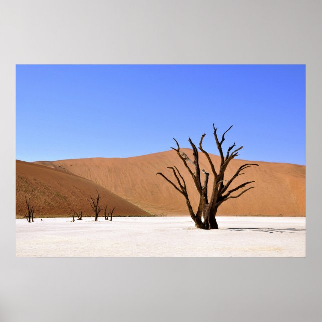 Wüstenbaume Poster (Vorne)