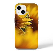 Wüstenblüten