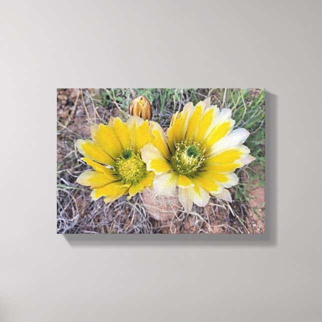 Wüstenblüten Leinwanddruck (Vorderseite)