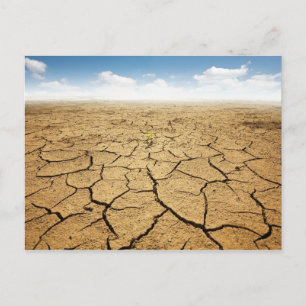 Wüstenboden gebrochen postkarte
