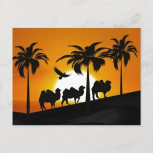 WüstenCamels bei Sonnenuntergang Postkarte