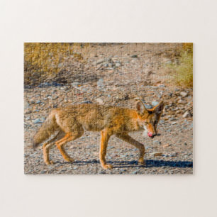 Wüstenfuchs des Death Valley. Puzzle