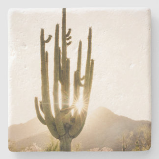Wüstengefühlte Untersetzer mit Cactus Foto