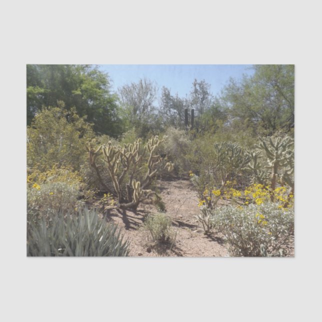 Wüstengewebe Seidenpapier (Vorderseite)