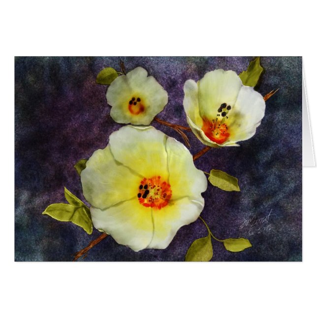 WüstenHibiskus (Vorderseite (Horizontal))