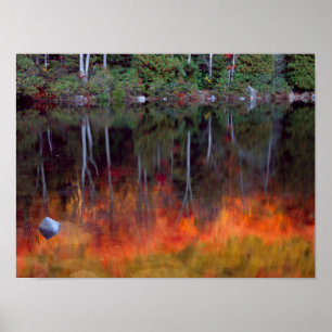 Wüsteninsel Acadia National Park, Maine Poster