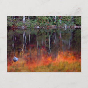 Wüsteninsel   Acadia National Park, Maine Postkarte