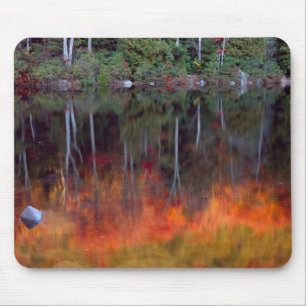 Wüsteninsel  Nationalpark Acadia, Maine Mousepad