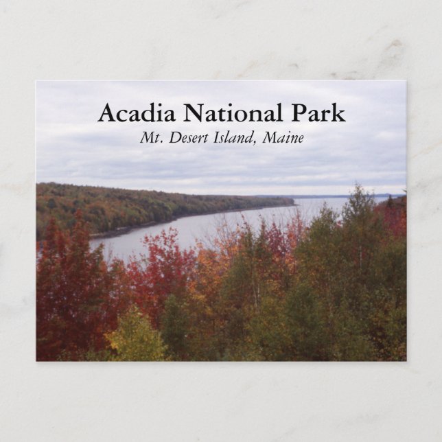 Wüsteninsel Postkarte (Vorderseite)