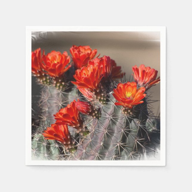 Wüstenkaktus-Blume Serviette (Vorderseite)