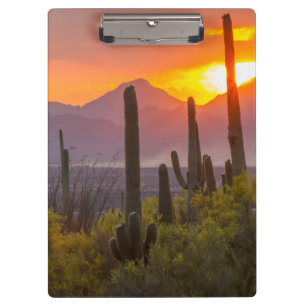 Wüstenkaktus Sonnenuntergang, Arizona Klemmbrett