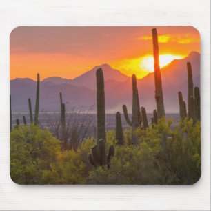 Wüstenkaktus Sonnenuntergang, Arizona Mousepad