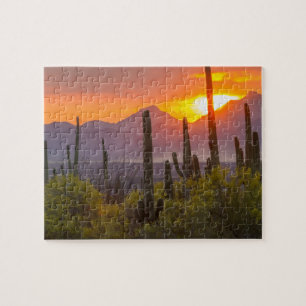 Wüstenkaktus Sonnenuntergang, Arizona Puzzle