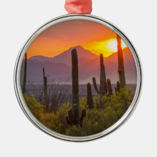 Wüstenkaktus Sonnenuntergang, Arizona Silbernes Ornament