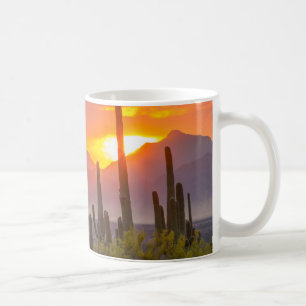 Wüstenkaktus Sonnenuntergang, Arizona Tasse
