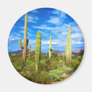 Wüstenkaktuslandschaft, Arizona Magnet