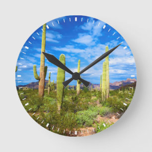 Wüstenkaktuslandschaft, Arizona Runde Wanduhr
