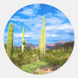 Wüstenkaktuslandschaft, Arizona Runder Aufkleber