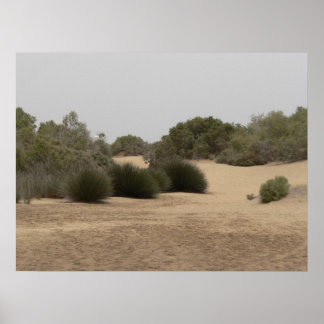 Wüstenland 1 poster