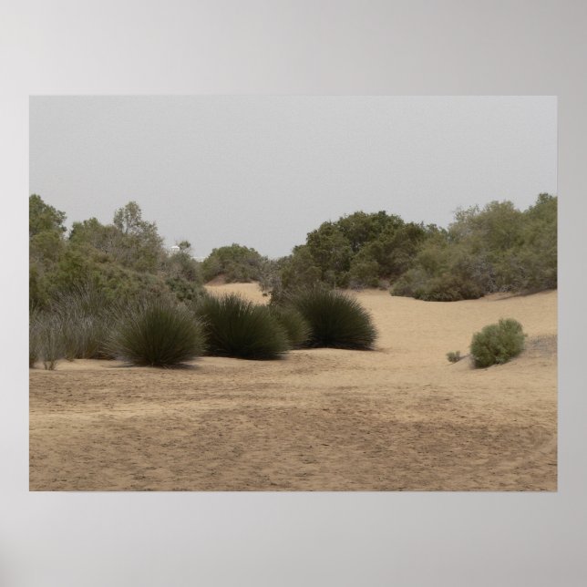 Wüstenland 1 poster (Vorne)