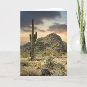 Wüstenlandschaft 2767-Arizona mit Sonnenstrahlen Feiertagskarte