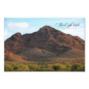 Wüstenlandschaft Arizona Fotodruck