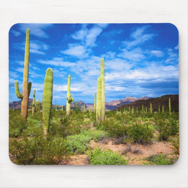 Wüstenlandschaft, Arizona Mousepad (Vorne)