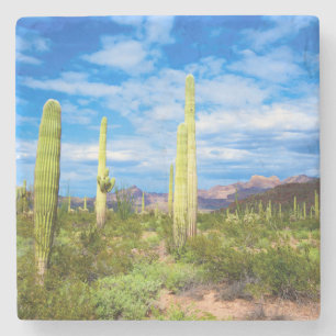Wüstenlandschaft, Arizona Steinuntersetzer