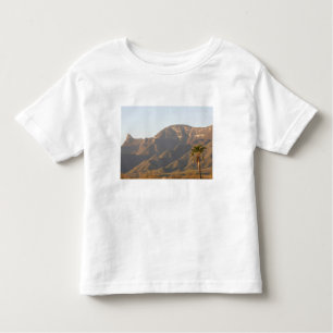 Wüstenlandschaft in der Nähe von Monterey, Mexiko. Kleinkind T-shirt