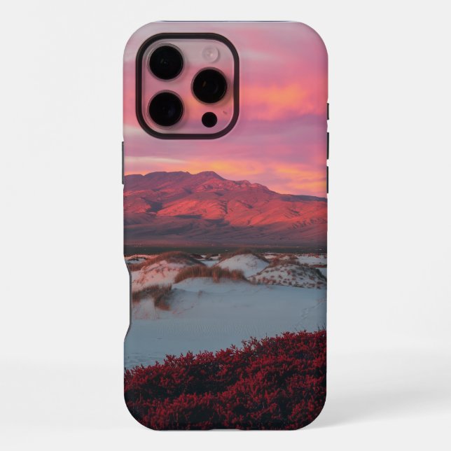 Wüstenlandschaft iPhone Hülle (Rückseite)