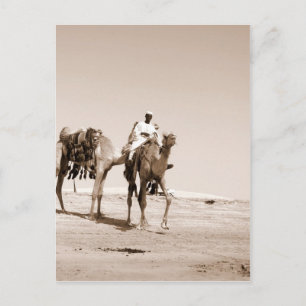 Wüstenlandschaft Postkarte