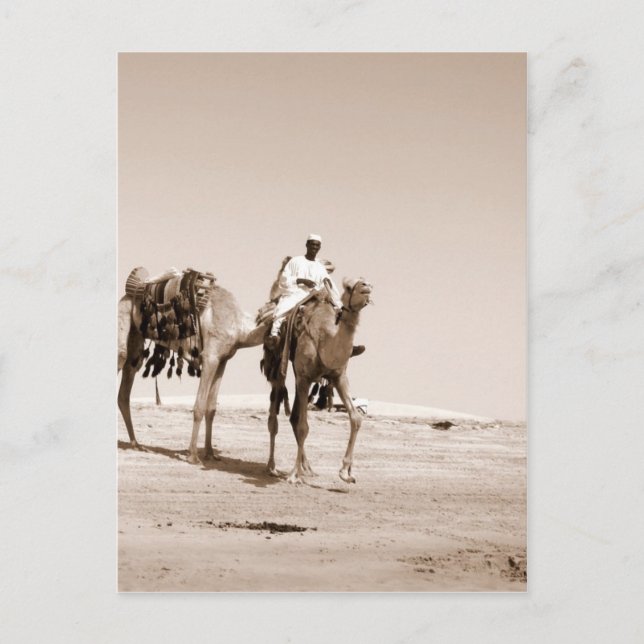 Wüstenlandschaft Postkarte (Vorderseite)