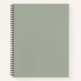 Wüstenlandschaft, solide Farbe Notizbuch