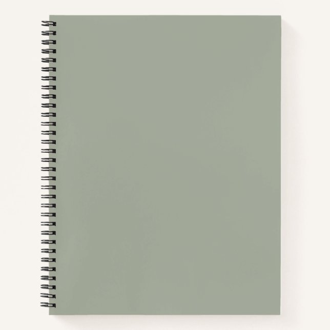 Wüstenlandschaft, solide Farbe Notizbuch (Vorderseite)