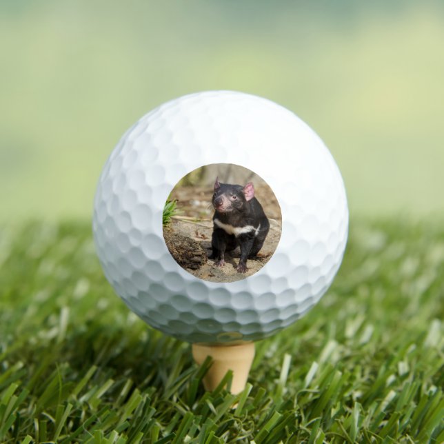 Wüstenlicht – Tasmanischer Teufel Golfball (Insitu T-Shirt)