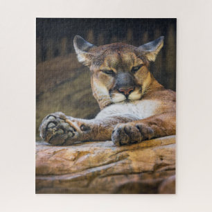 Wüstenmonarch: Der ruhende Puma Puzzle