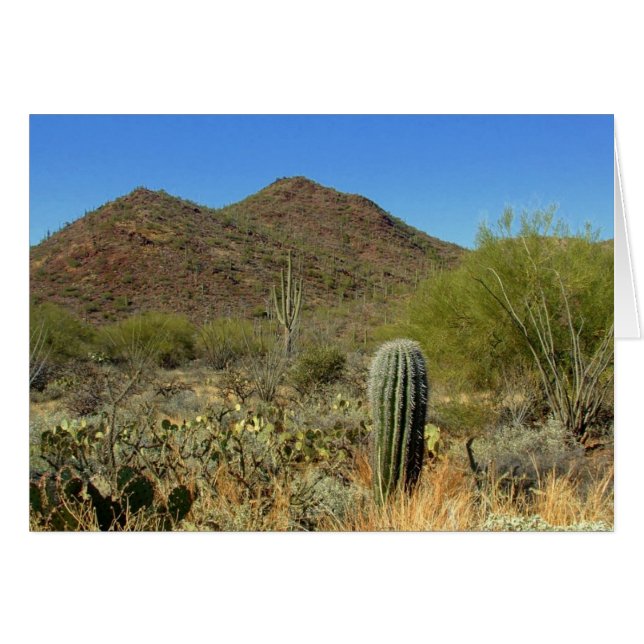 Wüstenparadies (Vorderseite (Horizontal))