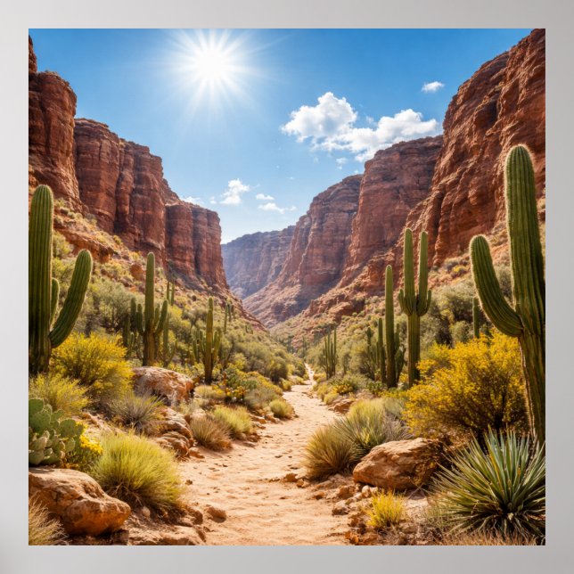 Wüstenpfad zwischen felsigen Canyons Poster (Vorne)