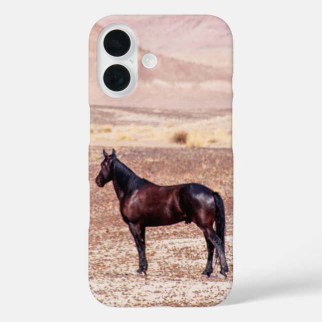Wüstenpferd P8664 Case-Mate iPhone Hülle (Rückseite)