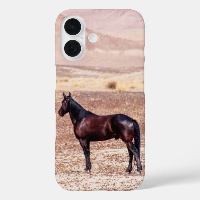 Wüstenpferd P8664 Case-Mate iPhone Hülle (Rückseite)