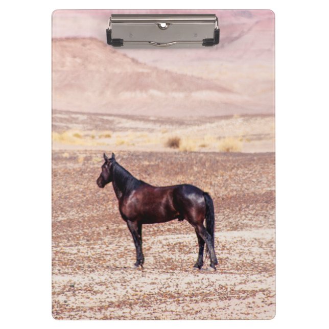 Wüstenpferd P8664 Klemmbrett (Vorderseite)