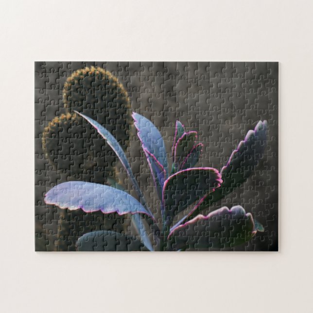 WüstenPflanze Puzzle (Horizontal)