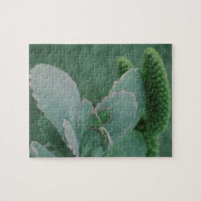 WüstenPflanze Puzzle (Horizontal)